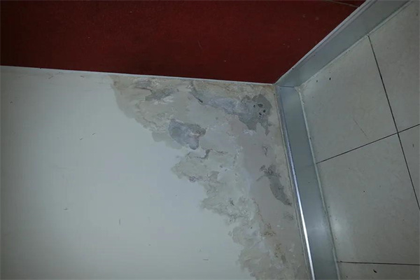 衛生間漏水用什么補漏